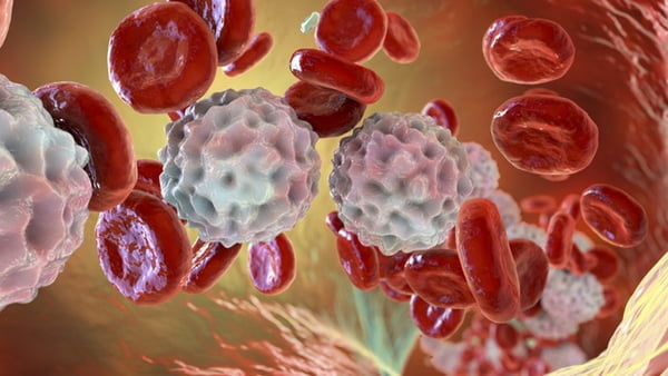 Ilustracao leucemia 2