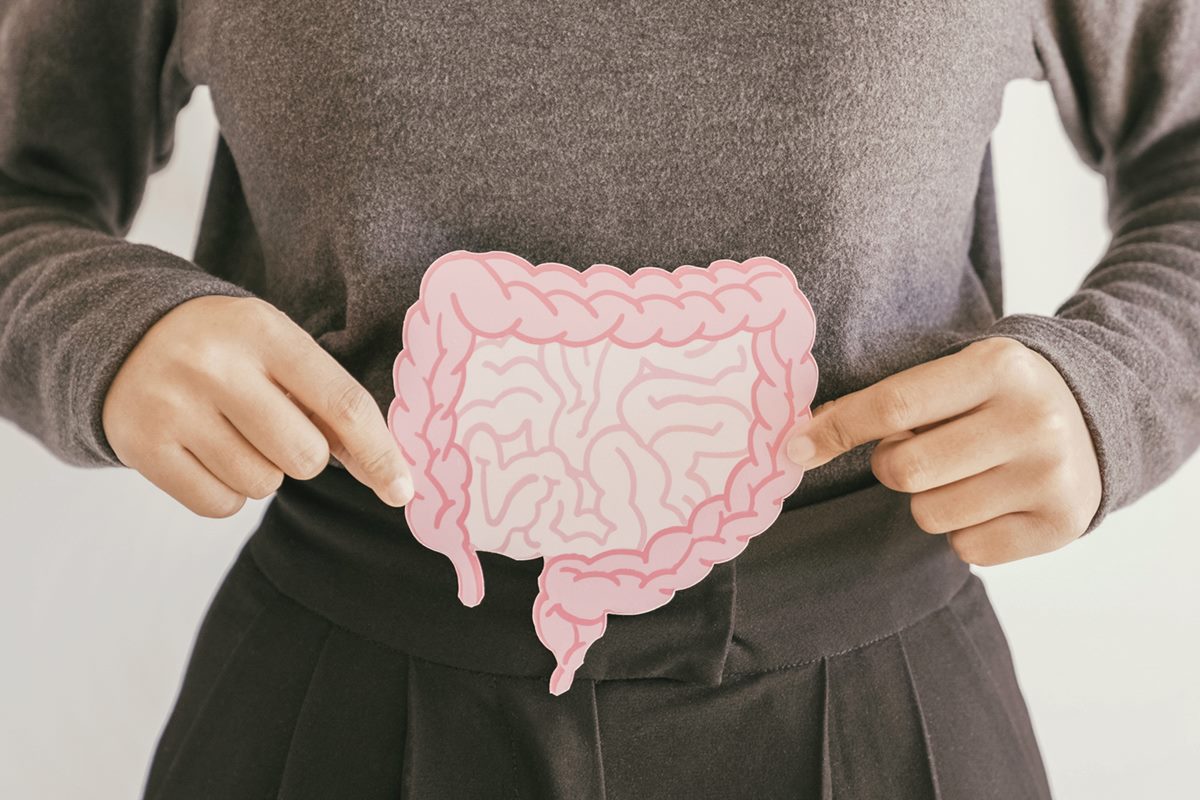 Intestino 2
