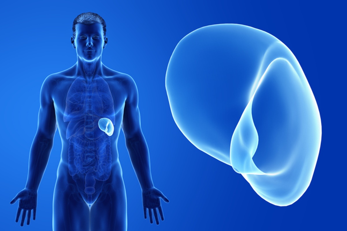 Baco No Corpo Humano