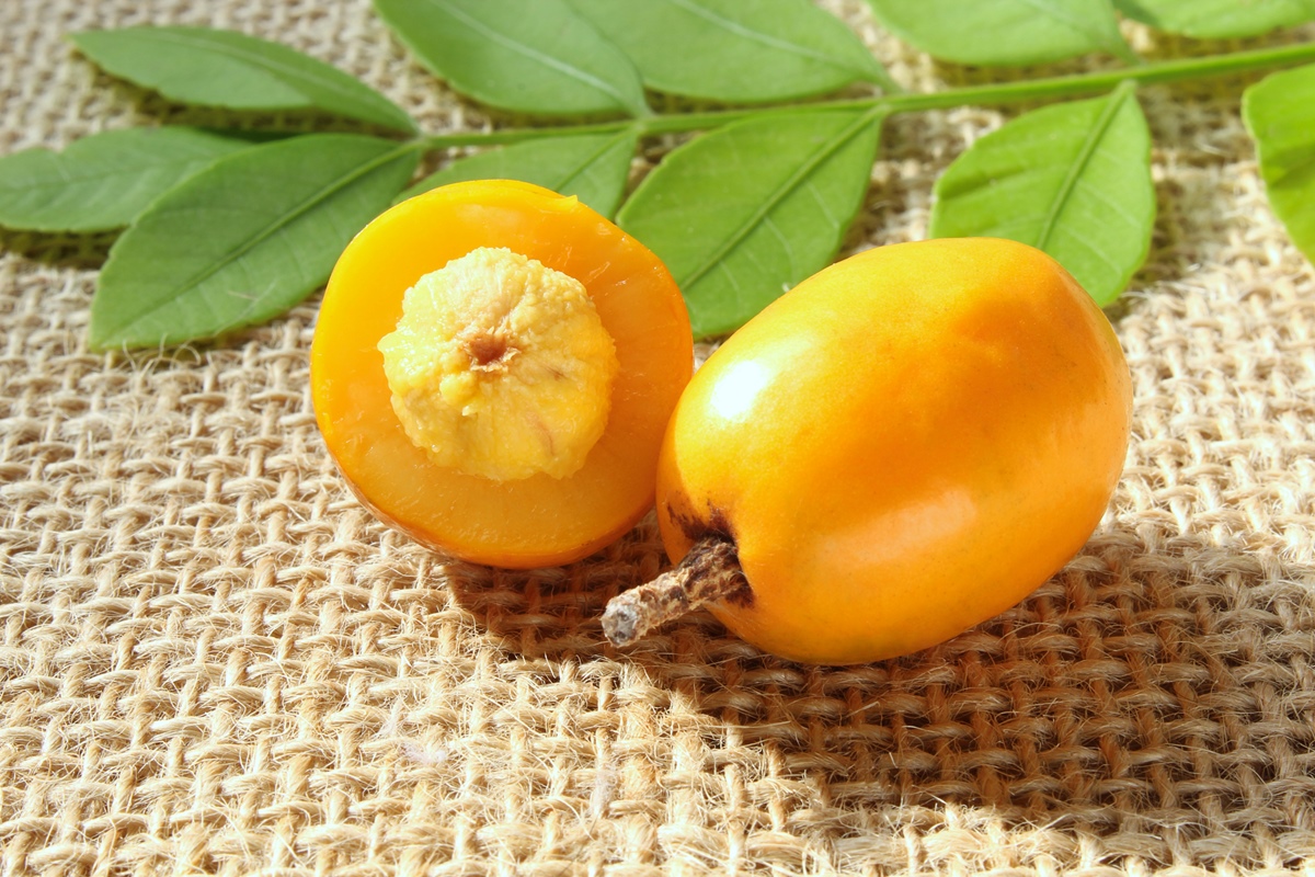 Seriguela Caroco 2