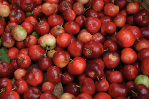Acerola 4