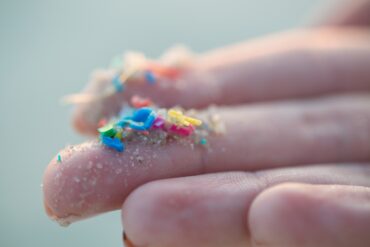 Microplasticos 5