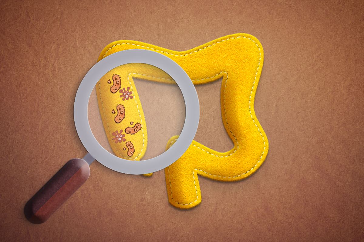 Intestino 6