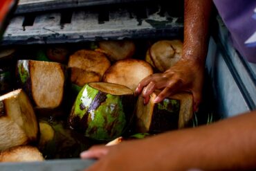 Agua de coco armazenamento