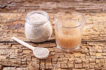 Psyllium semente alimento suplemento emgrecimetno 1 compressed e1736375124635