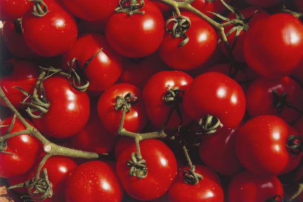 Tomate 3