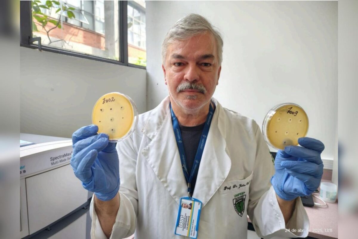 Pesquisa brasileira encontra 62 virus uteis no controle de bacterias 2 e1746717182952
