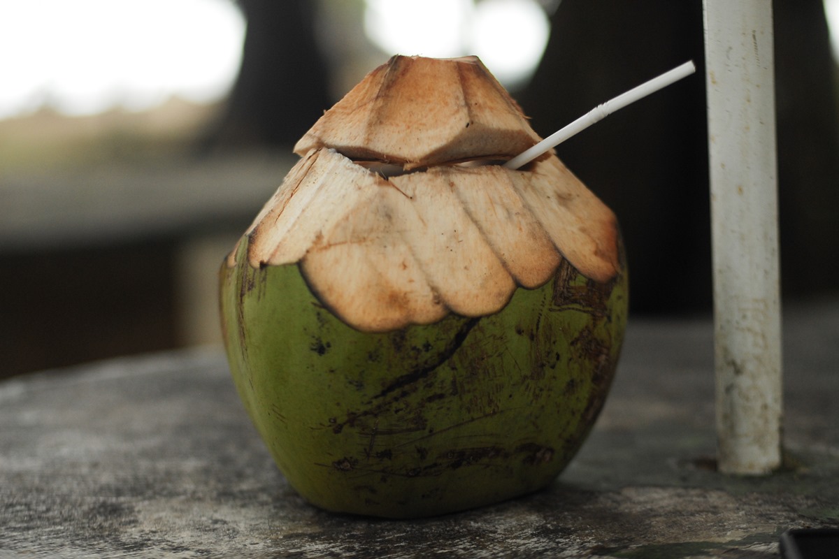 Agua de coco 7