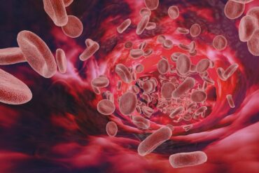 Tipos de sangue