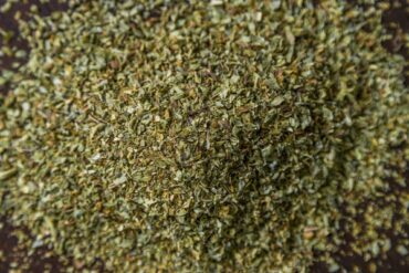 Oregano 4