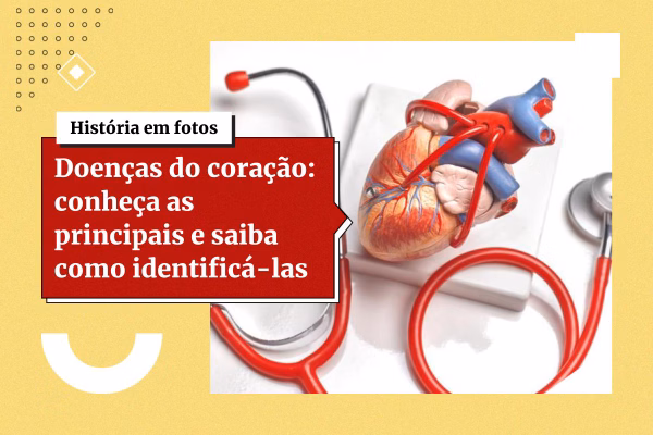 3 cards galeria de fotos 2 26 3