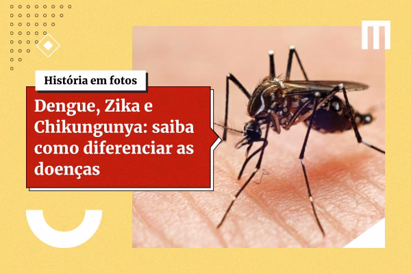 3 cards galeria de fotos 2 54