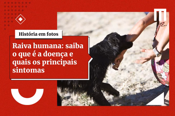 3 cards galeria de fotos 2 91