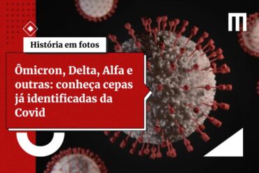 3 cards galeria de fotos 36