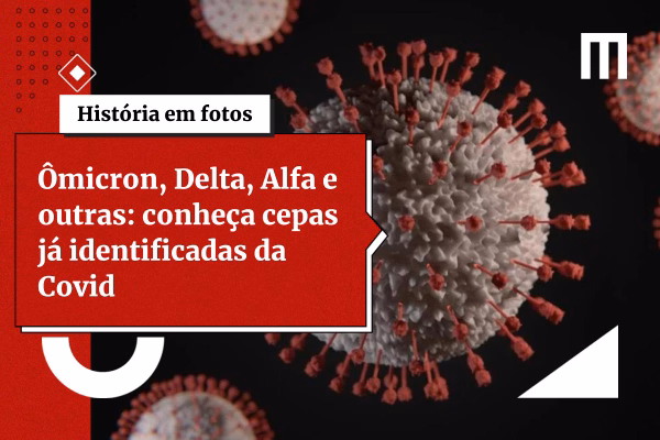 3 cards galeria de fotos 36