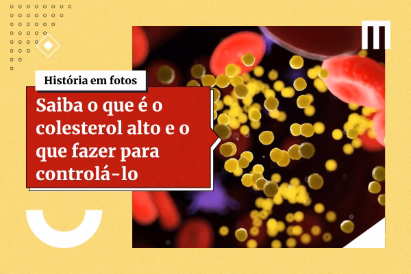 3 cards galeria de fotos 4