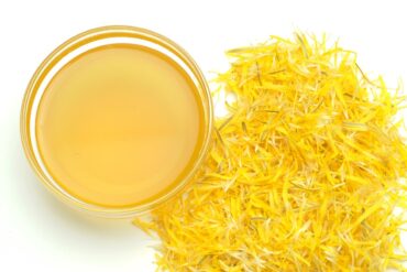 Cha de dente de leao 1 1