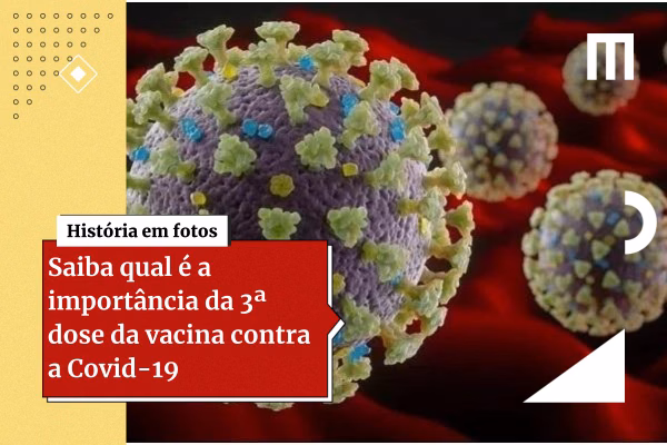 Copia de 3 cards galeria de fotos 14