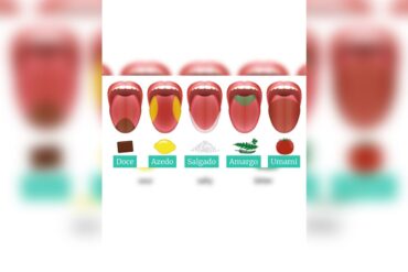 Papilas gustativas materia