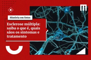 3 cards galeria de fotos 6 19