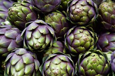 Alcachofra 1