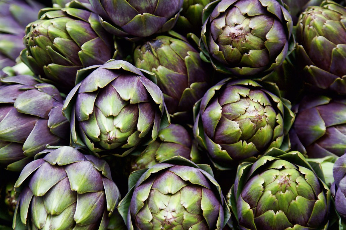 Alcachofra 1
