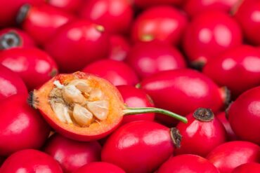 Cha de rosa mosqueta materia