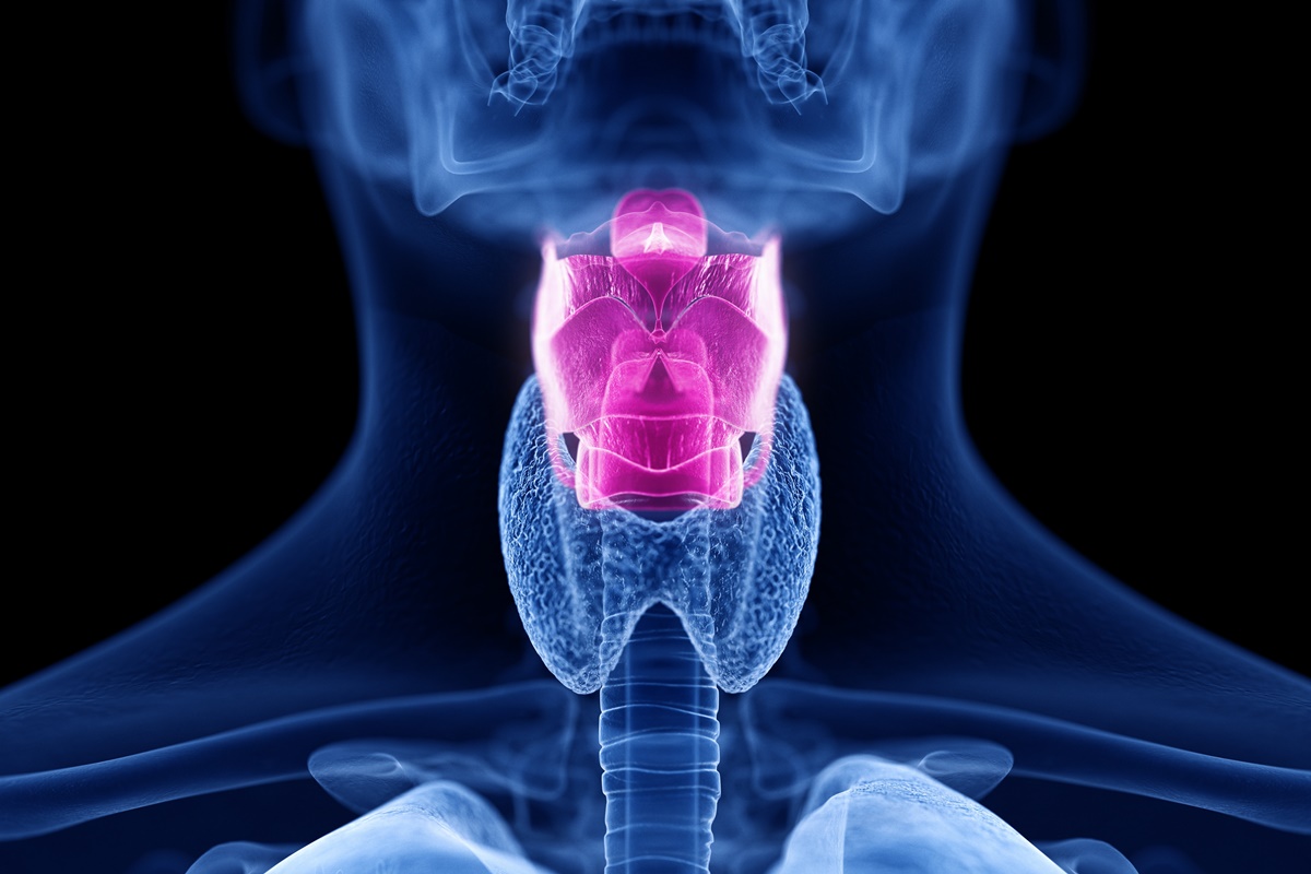 Cordas vocais materia