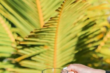 Pexels 30nudos adicora 164429726 15055048