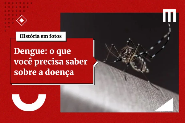 3 cards galeria de fotos 4 21